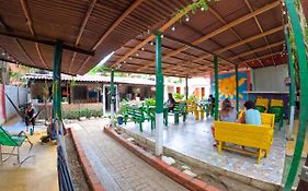 Palomino Hostel
